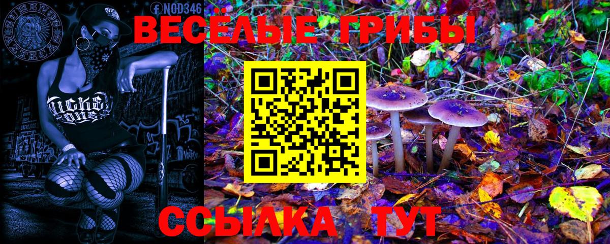 Дивногорск  Галлюциногенные грибы GOLDEN TEACHER  Вход с VPN 
